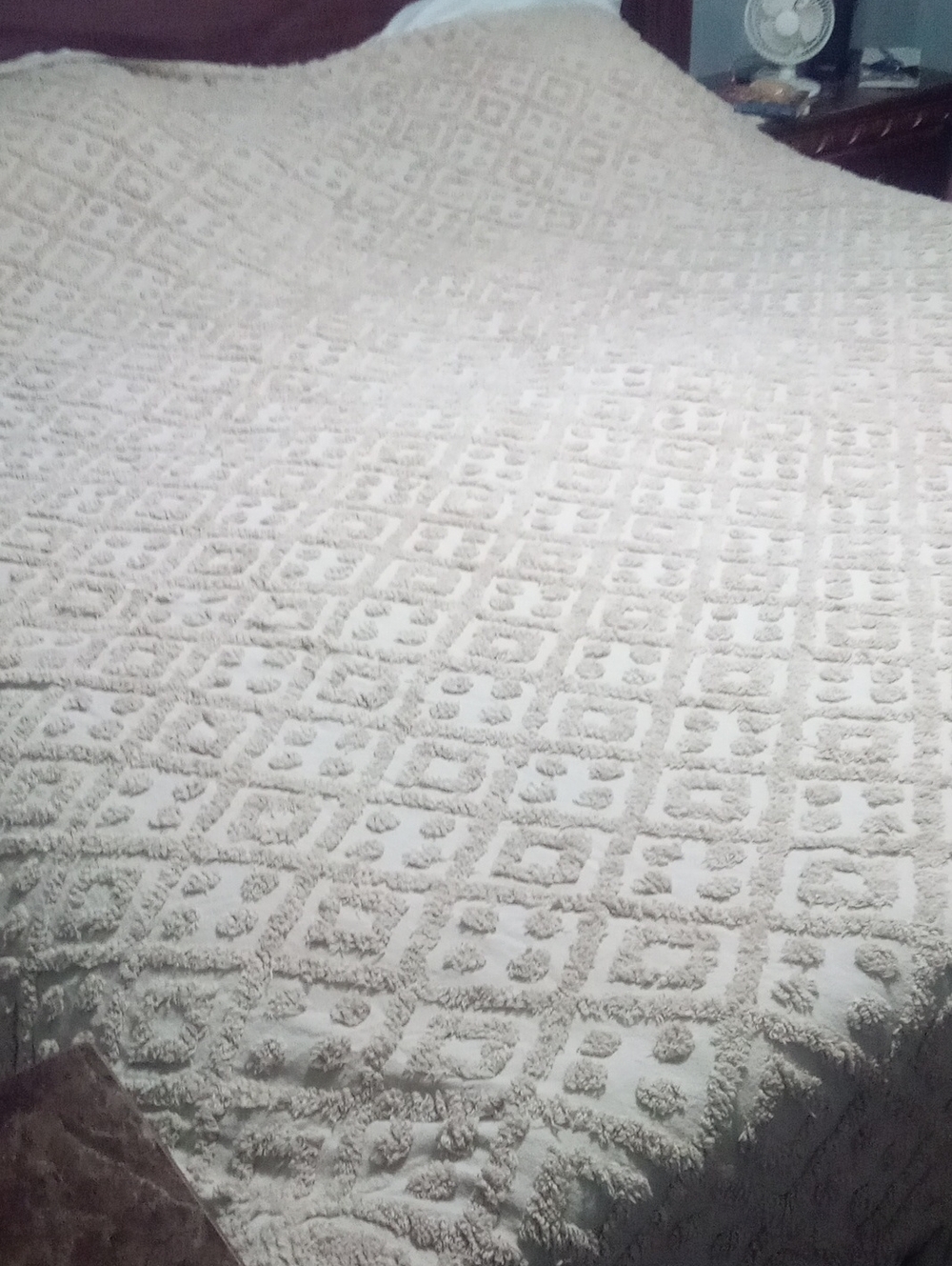 Plush Chenile Textured Bedspread Queen Tan New NWT $119.99